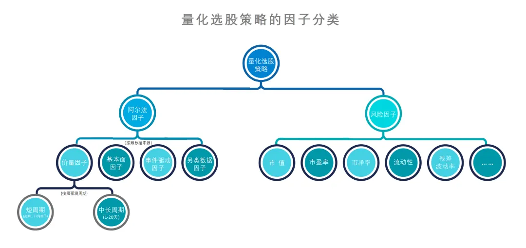 因子分类.webp